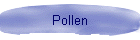 Pollen